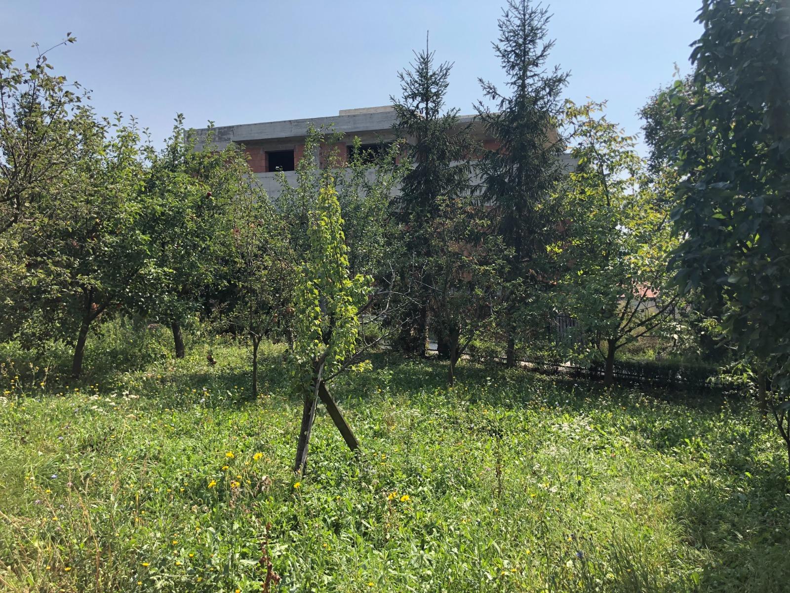 Teren de vânzare Dambul Rotund - 54593TV | BLITZ Cluj-Napoca | Poza4