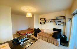 Apartament 1 camera+nisa, 42 mp, decomandat, zona The Office