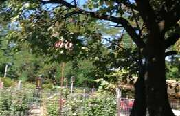 Casa individuala Gruia 83 mp utili, teren 135 mp