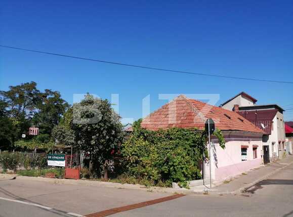 Casa de vânzare 3 camere Gruia - 54629CV | BLITZ Cluj-Napoca | Poza6