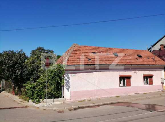 Casa de vânzare 3 camere Gruia - 54629CV | BLITZ Cluj-Napoca | Poza4