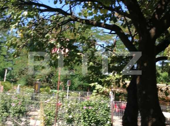 Casa de vânzare 3 camere Gruia - 54629CV | BLITZ Cluj-Napoca | Poza18