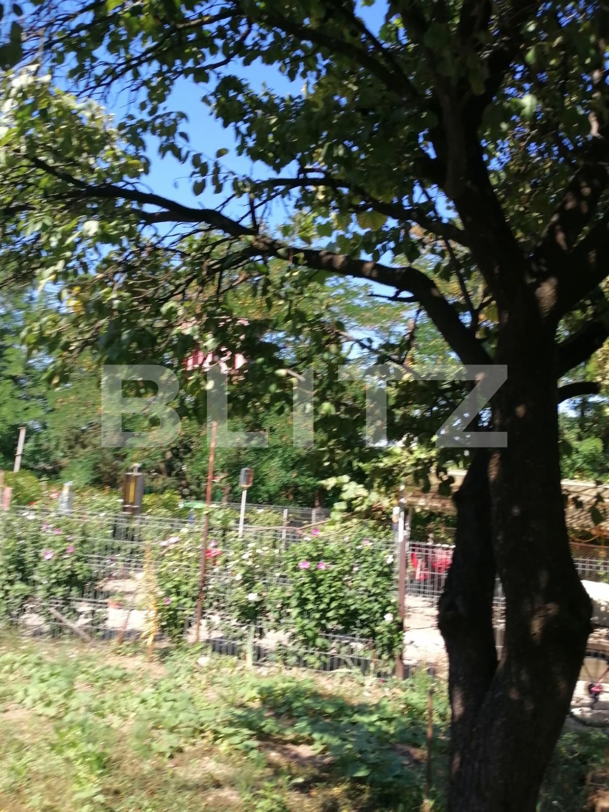 Casa de vânzare 3 camere Gruia - 54629CV | BLITZ Cluj-Napoca | Poza18