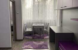 Garsoniera 30 mp, moderna, pet friendly, zona strazii Detunata