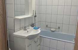 Garsoniera 30 mp, moderna, pet friendly, zona strazii Detunata