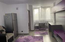 Garsoniera 30 mp, moderna, pet friendly, zona strazii Detunata