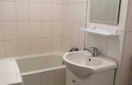 Garsoniera 30 mp, pet friendly, zona strazii Detunata