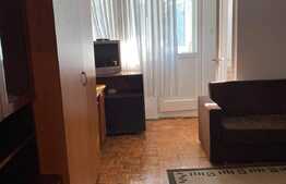 Garsoniera 30 mp, pet friendly, zona strazii Detunata