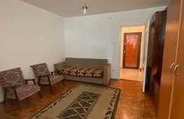 Garsoniera 30 mp, pet friendly, zona strazii Detunata