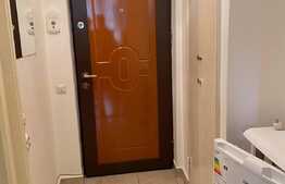Garsoniera 30 mp, pet friendly, zona strazii Detunata
