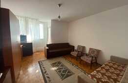 Garsoniera 30 mp, pet friendly, zona strazii Detunata
