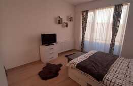 Apartament de lux, etaj intermediar, parcare, zona Terra