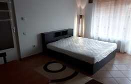 Apartament 1 camera, 44 mp, AC, imobil nou, zona Aurel Vlaicu