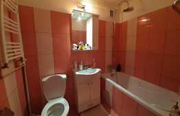 Apartament 1 camera decomandat, la cheie, zona Kaufland 