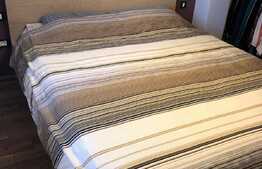 Apartament 2 camere, 50 mp, gradina, zona strazii Campului, pet friendly