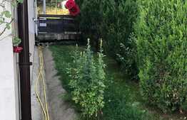 Apartament 2 camere, 50 mp, gradina, zona strazii Campului, pet friendly