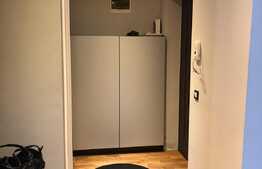 Apartament 2 camere, 50 mp, gradina, zona strazii Campului, pet friendly