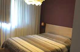 Apartament 2 camere, 50 mp, gradina, zona strazii Campului, pet friendly