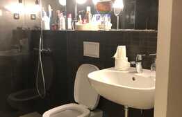 Apartament 2 camere, 50 mp, gradina, zona strazii Campului, pet friendly