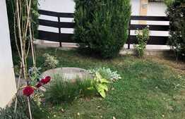 Apartament 2 camere, 50 mp, gradina, zona strazii Campului, pet friendly