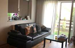 Apartament 2 camere, 50 mp, gradina, zona strazii Campului, pet friendly