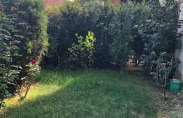 Apartament 2 camere, 50 mp, gradina, zona strazii Campului, pet friendly