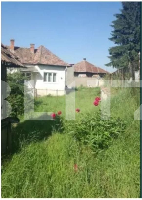 Casa de vânzare 4 camere Baciu - 54736CV | BLITZ Cluj-Napoca | Poza11