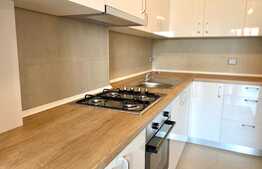 Apartament 2 camere, parcare subterana, 45mp, complexul grand park zona Iulius Mall