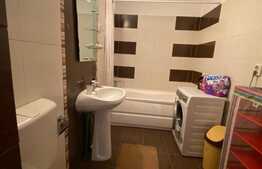 Apartament 2 camere, 48 mp, petfriendly, parcare, zona strazii Tineretului! 