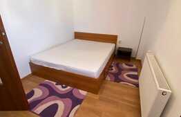 Apartament 2 camere, 48 mp, petfriendly, parcare, zona strazii Tineretului! 