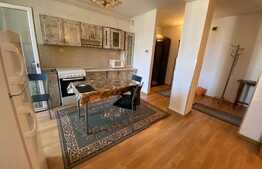 Apartament 2 camere, 48 mp, petfriendly, parcare, zona strazii Tineretului! 