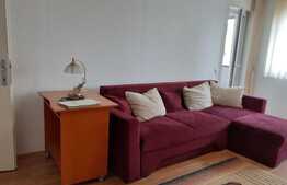 Apartament 1 camera, open space, 40 mp, zona strazii Calez Turzii