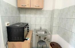 Garsoniera, 22mp, recent renovata, zona strazii Migdalului