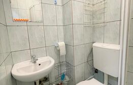 Garsoniera, 22mp, recent renovata, zona strazii Migdalului