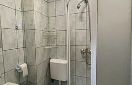 Garsoniera, 22mp, recent renovata, zona strazii Migdalului