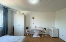 Garsoniera, 22mp, recent renovata, zona strazii Migdalului