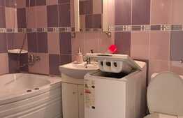 Garsoniera, 26mp, pet friendly, zona strazii Fabricii de Zahar