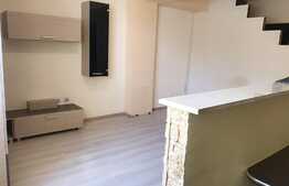 Garsoniera, 26mp, pet friendly, zona strazii Fabricii de Zahar