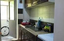 Apartament 3 camere, aflat la parter ideal pentru investitie si locuinta familiala, zona Calvaria