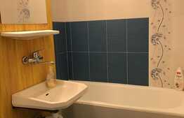 Apartament 3 camere, aflat la parter ideal pentru investitie si locuinta familiala, zona Calvaria