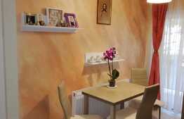 Izolatie in pardoseala, parcare subterana, semineu, dressing, zona Muzeul Apei