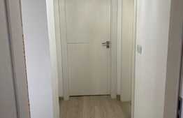 Apartament de lux, 3 camere, zona strazii Tineretului!