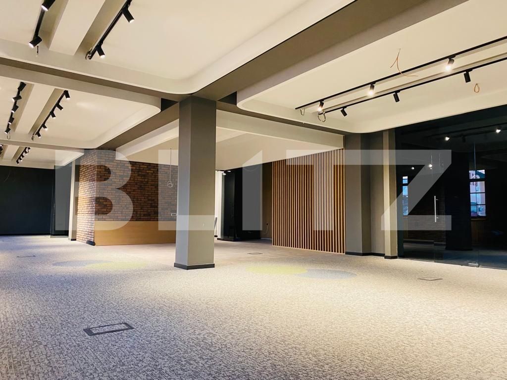 Spațiu birouri de închiriat Central - 54823SIB | BLITZ Cluj-Napoca | Poza3