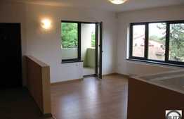 Liniste si confort in cartierul Grigorescu.