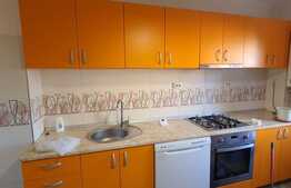 Apartament cu 3 camere, 65 mp, modern, Pet-Friendly, zona B-dul Titulescu