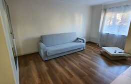 Apartament cu 3 camere, 65 mp, modern, Pet-Friendly, zona B-dul Titulescu
