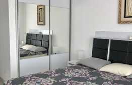 Apartament cu 3 camere, lux, pet friendly, zona centrala a orasului