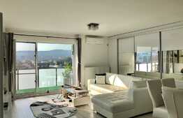 Apartament cu 3 camere, lux, pet friendly, zona centrala a orasului