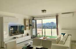 Apartament cu 3 camere, lux, pet friendly, zona centrala a orasului