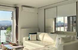 Apartament cu 3 camere, lux, pet friendly, zona centrala a orasului